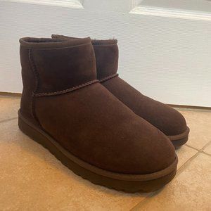 Brown Mini Uggs *NEVER WORN*
